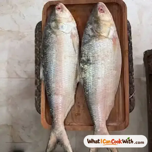 Hilsa