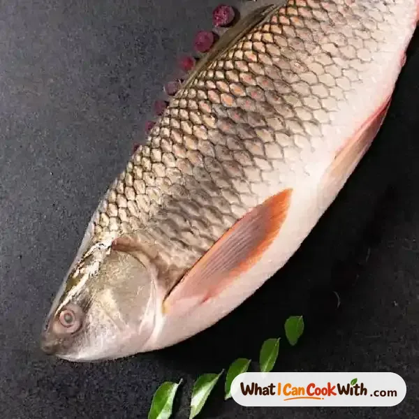 Rohu