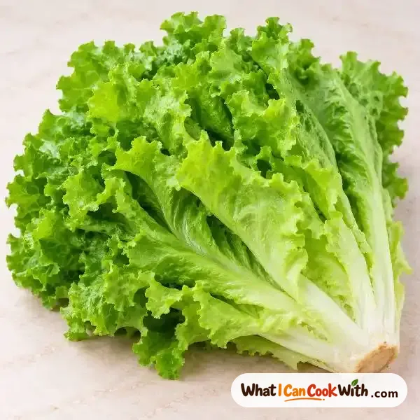 Lettuce