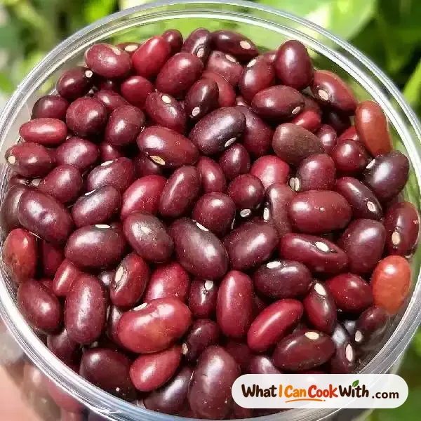 Rajma